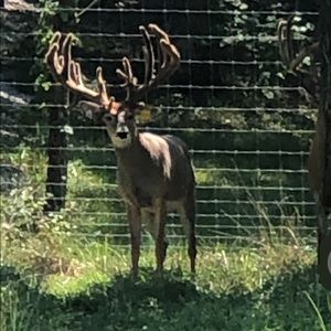 Meet your Posher, Scott